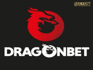 Dragon Bet เดิมพันที่ครบวงจร
